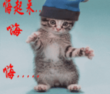 最新幽默笑话大全,搞笑段子大全,搞笑动态图片大全第17622页别逗了笑话网