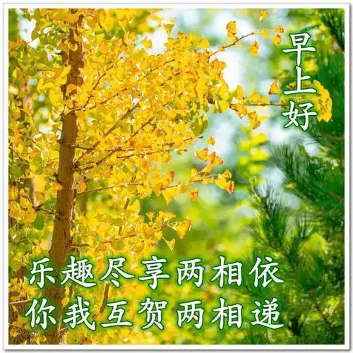 8张最美秋日风景早安图片带祝福语免打字聊天的早上好问候祝福风景图片带字
