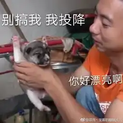  华农兄弟为什么可以靠吃一夜走红