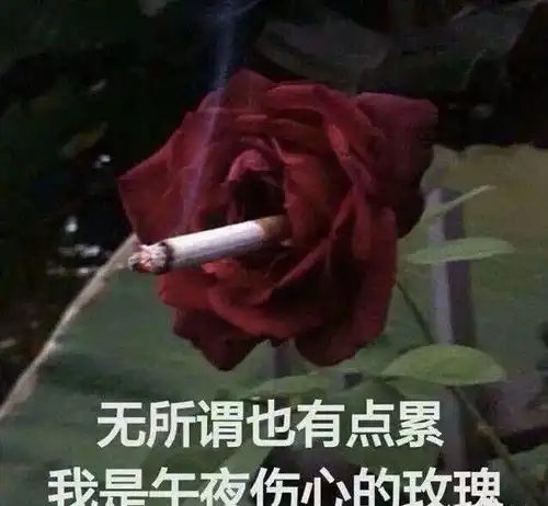 爆笑我化成灰你都认识,可我p过的图片,你居然叫我推微信离谱  爆笑我化成灰你都认识,可我p过的图片,你居然叫我推微信离谱