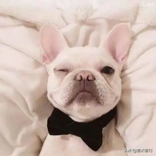  2020来了,是时候把他换掉了