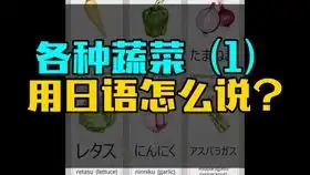  是初级的吗宁宁老师在线答疑,带你轻松有趣高效复习日语能力考考点