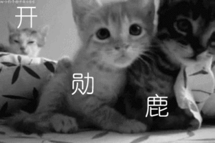 exo一大波奇葩图再次来临  exo一大波奇葩图再次来临