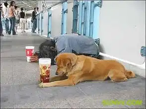  求类似于这样的搞笑头像,越搞笑越好,谢谢啦