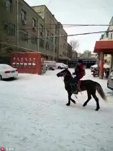  北方暴雪恶搞骑马送包裹,快递改名叫镖局