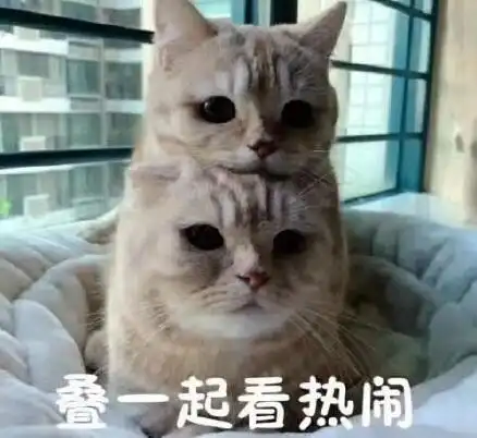  幽默笑话,靓仔,这么早你就来买菜了,你媳妇真幸福呀车去