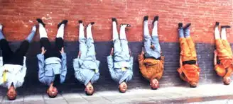  图解强悍的少林武功精髓