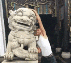 搞笑图片gif狮子座
