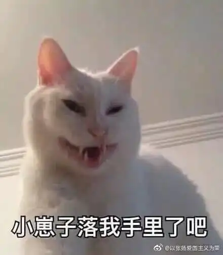 哈哈喵开黑的表情包沙雕