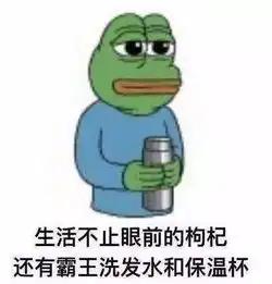  项目经理,996式养生了解一下有必要