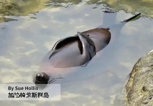  不要让它们消失于世界之后,才明白如何去爱