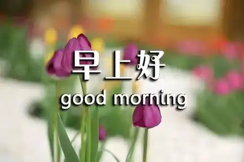 清晨问候图片搞笑句子