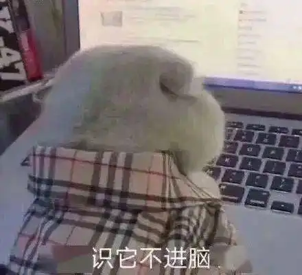  高校学生2020上半年总结,太形象了