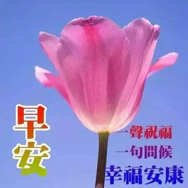  春季最新版早安动画图片带字表情包,早晨动态问候语祝福语图片大全