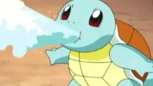 实拍乌龟喷水,迷惑可爱行为记录  实拍乌龟喷水,迷惑可爱行为记录