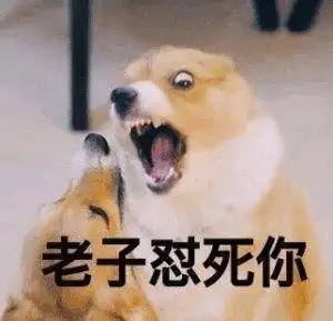  寝室要搬进来一个绿茶婊怎么办