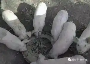 多一点套路少一点真诚,老司机带你飞  多一点套路少一点真诚,老司机带你飞