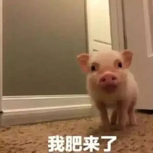  搞怪风格微信qq头像