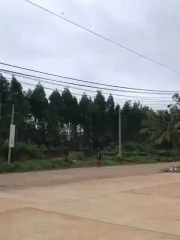  起床了,这里有两个靓仔搞笑