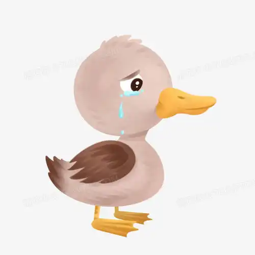  卡通手绘童话故事丑小鸭元素png图片素材免费下载手绘png40004000像素熊猫办公