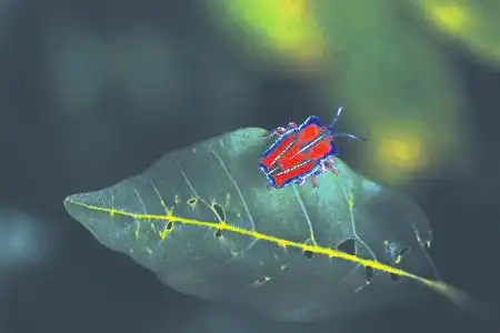  衣服上的神秘小颗粒究竟是什么