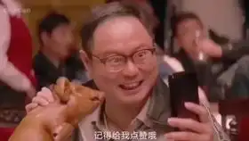 一群猪吃饭的图片搞笑魏