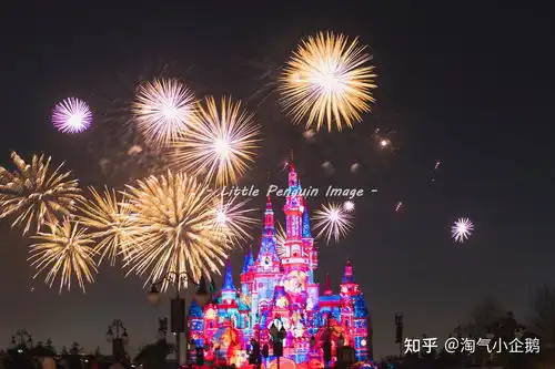  上海迪士尼过年开门吗