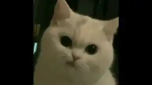  音乐换了个