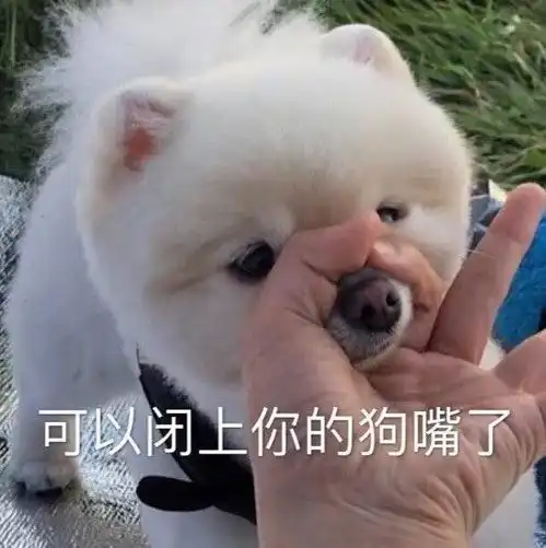  动漫表情包聊天表情包斗图表情包