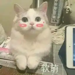  力挽狂篮你想要的全明星,都在这里啦