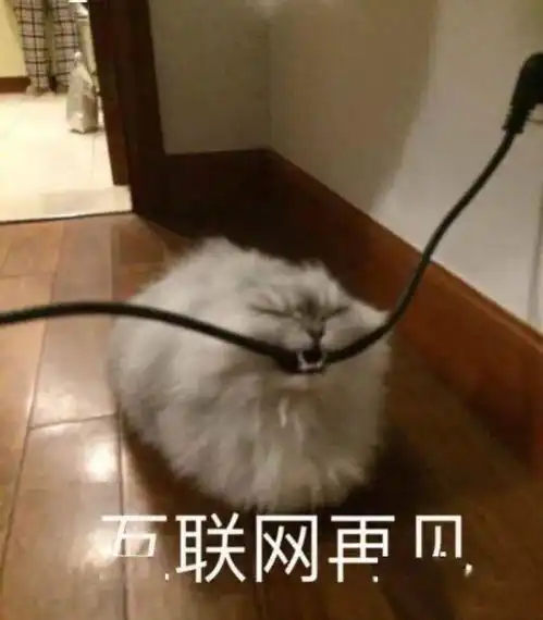  雨还没完中雨阵雨最高气温降至25