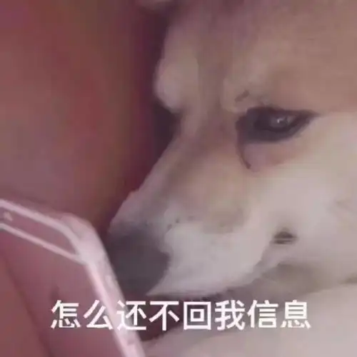  表情包手插口袋,谁都不爱