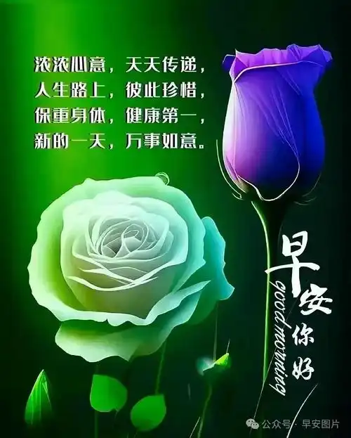  2024年6月27日周四早安问候语创意表情包祝福图片,温馨问候祝福语大全愿健康快乐分分秒秒好心情幸福快乐早上好早安清晨手机网易网
