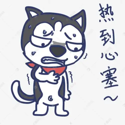夏天热的图片 搞笑图片