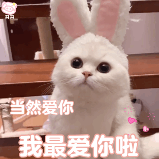  胖死算了,胖罐子胖摔第296期喵表情