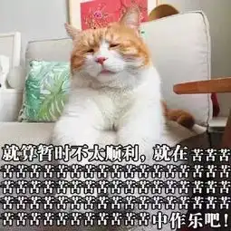  人生总有雨雨雨雨雨雨过天晴的时候.......来干了这碗鸡汤