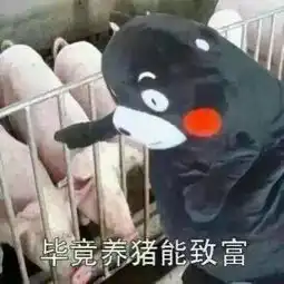  套路大全,来看看你中了几个