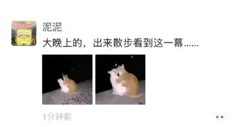  网友们晒出收藏许久的搞笑图,只为博你一笑