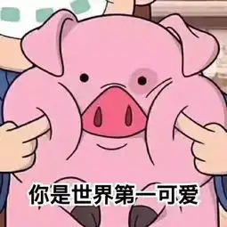  五官好看但是胖是一种什么样的体验