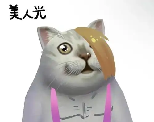  最近经常看到这个喵的表情包,为啥这么火