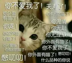  专访我们身边的阿喵老师