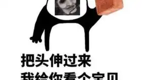  高人一等如果封面是假的,您们拿板砖砸我头