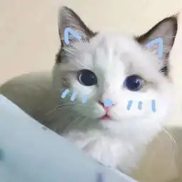  染之ranz的微博微博