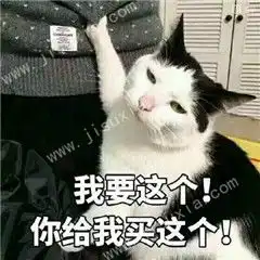  2018双十一剁手表情包在哪下载双十一剁手表情包大全极速下载