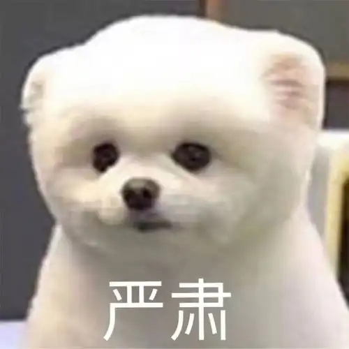  朱朝阳到底是不是坏小孩啊