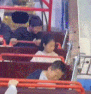 每日有趣gif图片这狗是遗传了老虎的基因吧