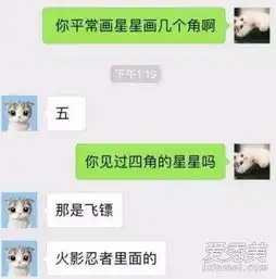  你见过四个角的星星吗是什么意思