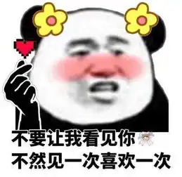 没你不行熊猫头表情包头
