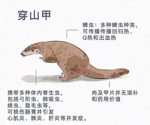  万物皆有灵,有因必有果强烈呼吁国家永久禁止野生动物交易