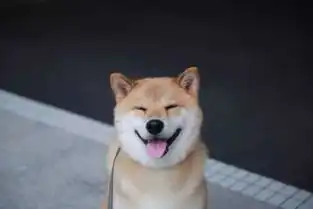  话题今日互动你们有木有因为笑这件事被骂过